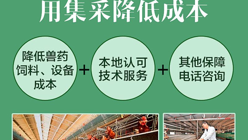 美容仪材质揭秘：如何挑选合适的高品质产品**