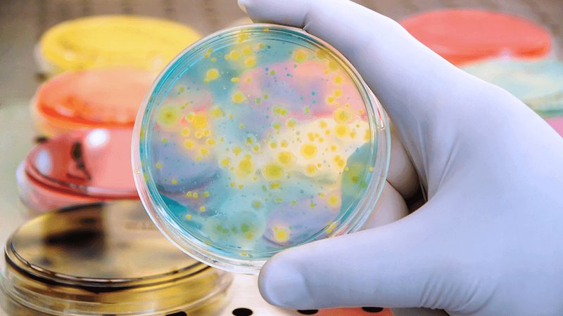家用生物科技产品加盟代理：揭秘加盟背后的行业逻辑**