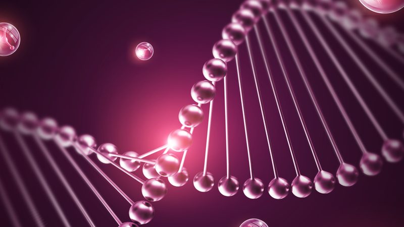 生物医药外包定制服务：揭秘其背后的关键要素