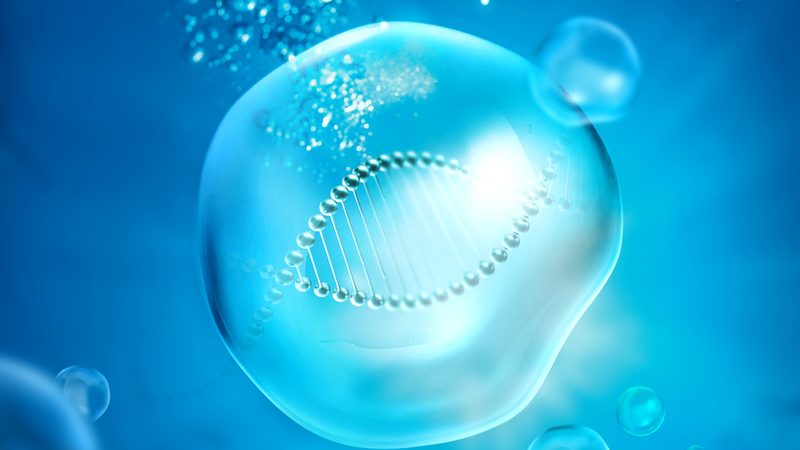 生物科技研发，人才选拔的黄金标准**
