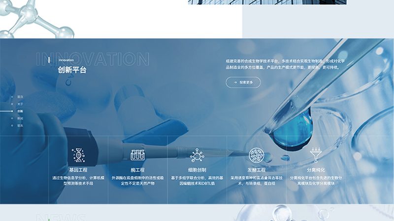 基因测序，解码生命奥秘的利器：揭秘十大品牌排名背后的科技力量