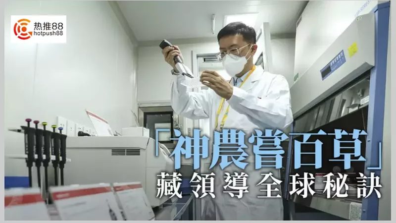 重组抗体：揭秘上海生产服务的关键要素**