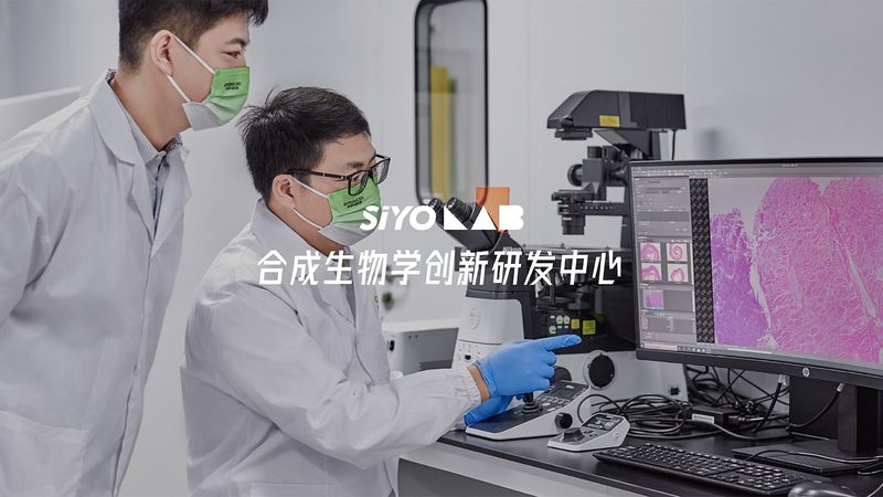 生物医药外包设备：揭秘行业“幕后英雄”的排名之谜**