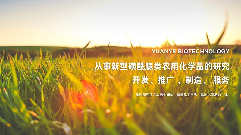 参数解析：关键指标识别