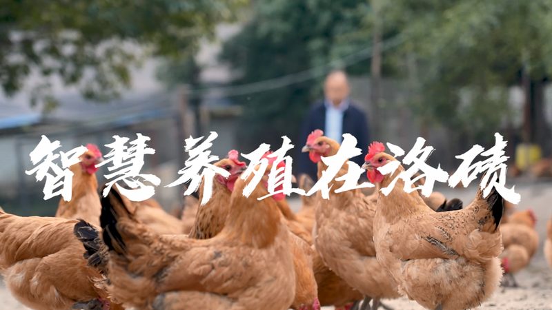 基因测序加盟，费用之外，你还需要了解这些**