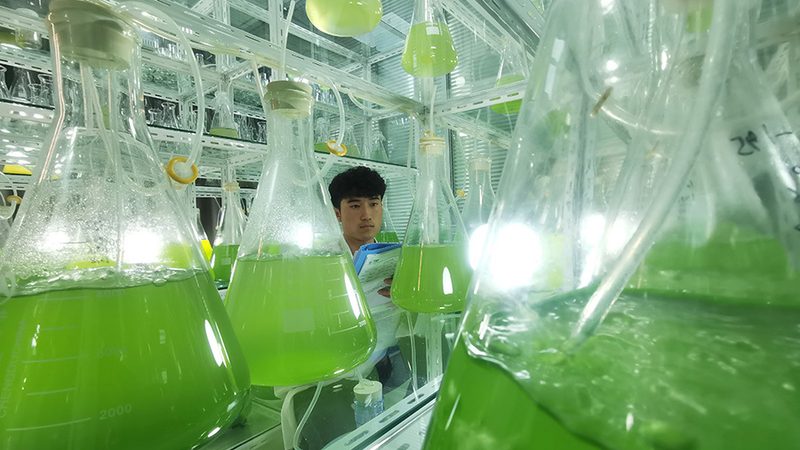 肿瘤基因检测套餐：揭秘其背后的技术奥秘**